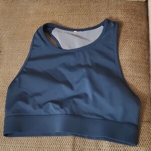 Fabletics Blue Sports Bra
